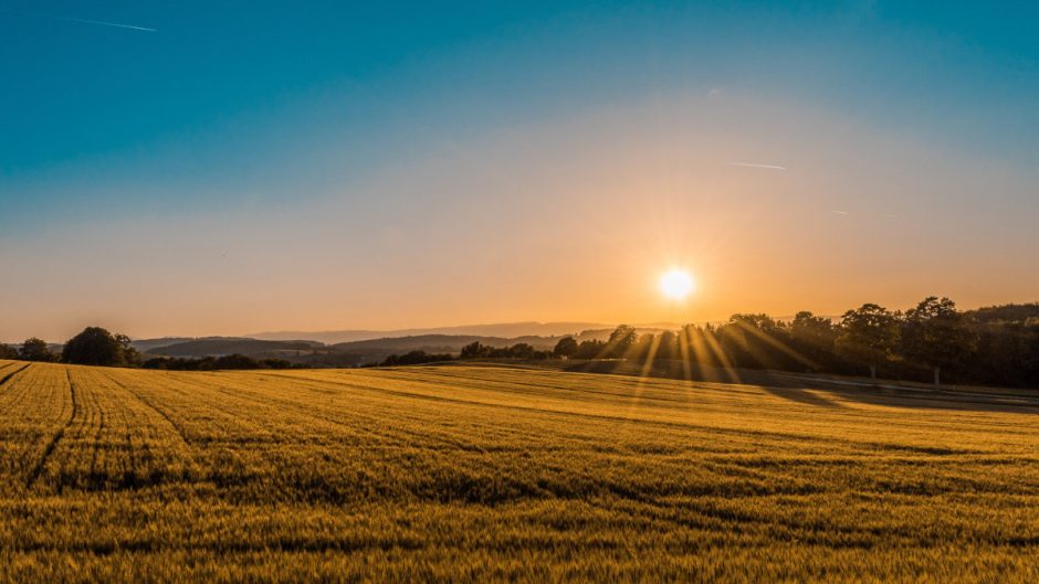 farmland sunrise