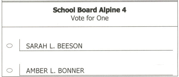 2022 election guide - alpine school board 4