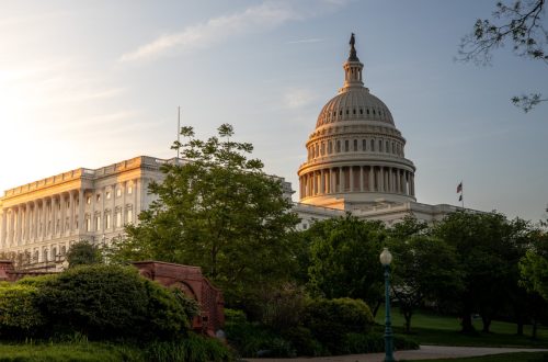 US Capitol - 2022 election